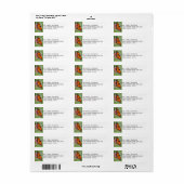Étiquettes de adresse Monarch Butterfly (Feuille entière)
