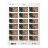 Étiquettes de adresse Peacock Feather and Bricks (Feuille entière)