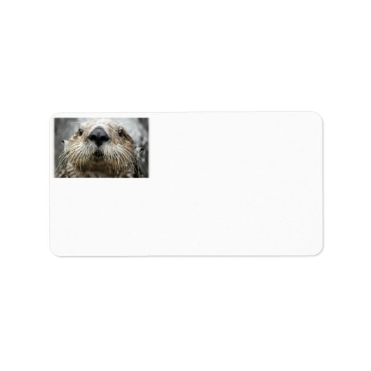 Étiquettes de adresse photo du visage de Sea Otter (Devant)