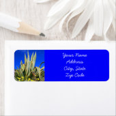 Étiquettes de adresse Plantes Agave (En situation)