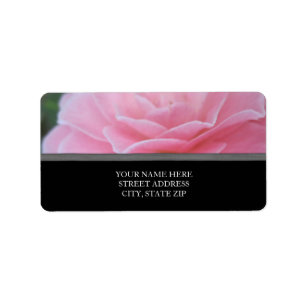 Étiquettes de adresse roses