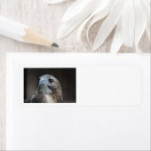 Étiquettes de adresse rouges de faucon de queue (En situation)