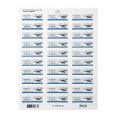Étiquettes de adresse sur mesure de l'aviation de (Feuille entière)
