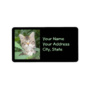 Étiquettes de adresse tigrés de chaton