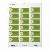 Étiquettes de adresse verts d'enveloppe de (Feuille entière)