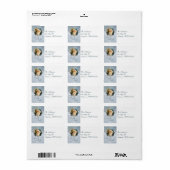 Étiquettes de adresse vintages de Père Noël (Feuille entière)