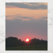 Étiquettes de boisson Sunset (Étiquettes simples)