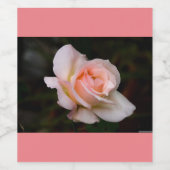 ÉTIQUETTES DE BOUTEILLES DE VIN (Étiquettes simples)