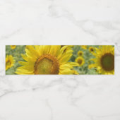 Étiquettes de bouteilles d'eau (Étiquettes simples)