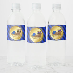 Étiquettes de bouteilles d'eau pour Baby Shower Pr