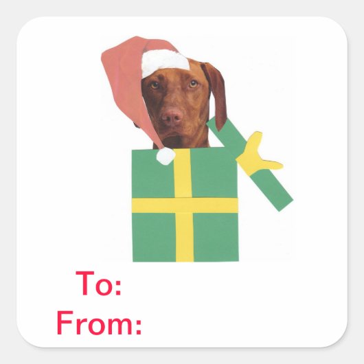 Étiquettes de cadeau de Vizsla à et d'autocollant (Devant)