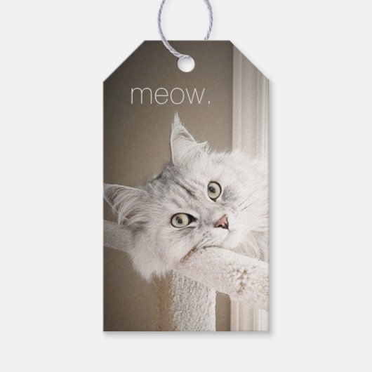 Étiquettes de cadeaux Meow (Devant)