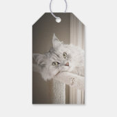 Étiquettes de cadeaux Meow (Dos)