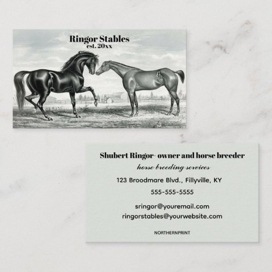 Étiquettes de cavalier modifiables (Devant / Derrière)