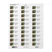 Étiquettes de chat festif et arbre de Noël (Feuille entière)