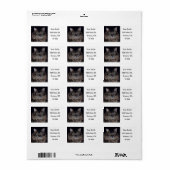 Étiquettes de chats Maine Coon (Feuille entière)