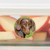 Étiquettes de chiens (Apposé)