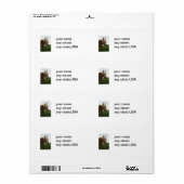 étiquettes de courrier équin (Feuille entière)