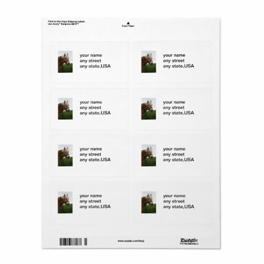 étiquettes de courrier équin (Feuille entière)