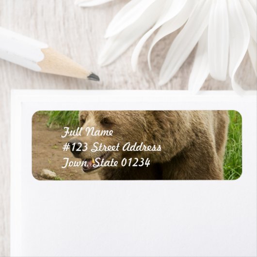 Étiquettes de courrier Grizzly (En situation)