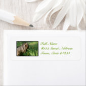 Étiquettes de courrier Lazy Sloth (En situation)