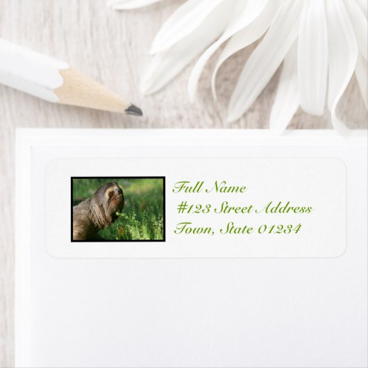 Étiquettes de courrier Lazy Sloth (En situation)