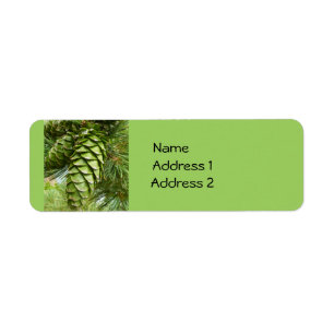 Étiquettes de coutume de Pinecones
