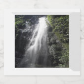 Étiquettes de la bouteille de bière de cascade (Étiquettes simples)