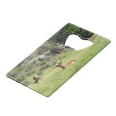 Étiquettes de la Nouvelle-Zélande (Devant Angle)