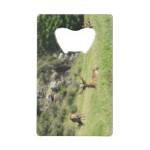 Étiquettes de la Nouvelle-Zélande (Dos)