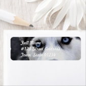 Étiquettes de messagerie Blue Eyed Husky (En situation)