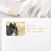 Étiquettes de messagerie de Poméranie Noire (En situation)