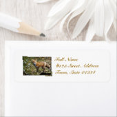 Étiquettes de messagerie Fox (En situation)