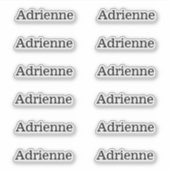 Étiquettes de nom de série simple ensemble de 12 a (Devant)