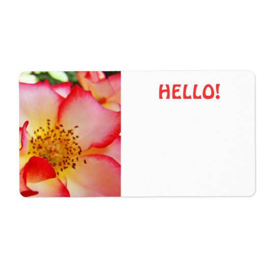 Étiquettes de nom HELLO Couleurs vives Conférences (Devant)