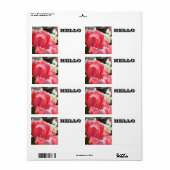 Étiquettes de nom HELLO Fleurs de Tulipe Roses (Feuille entière)