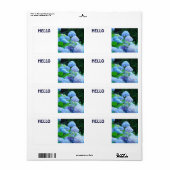 Étiquettes de nom HELLO Fleurs d'hortensia bleues (Feuille entière)