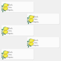 Étiquettes de nourriture au citron pour organisati