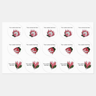 Étiquettes de Protea du roi peint