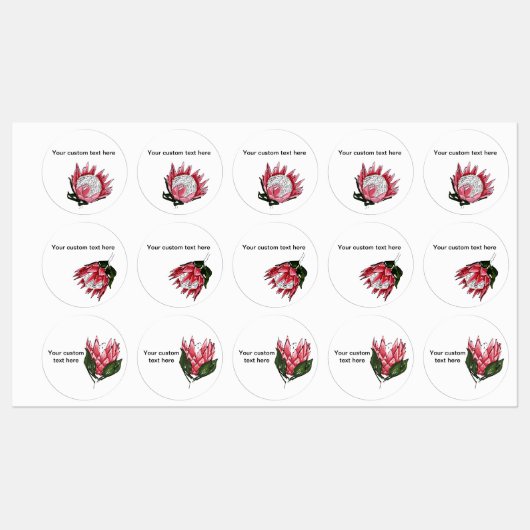 Étiquettes de Protea du roi peint (Feuille)