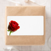 Étiquettes de Red Rose Shipping (En situation)