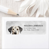 Étiquettes de retour de chien dalmate (En situation)