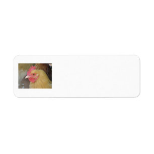 Étiquettes de retour de poulet