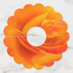 Étiquettes de verre de vin en papier Rose orange