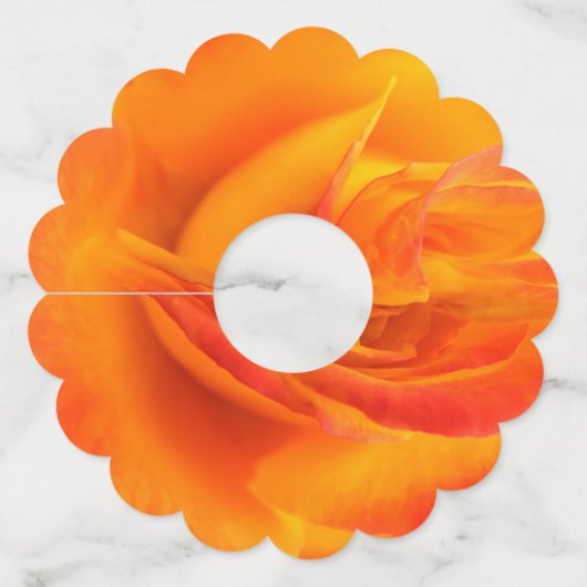 Étiquettes de verre de vin en papier Rose orange (Devant)