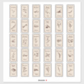 Étiquettes d'épices apothécaires vintages (Feuille)