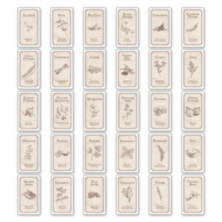 Étiquettes d'épices apothécaires vintages