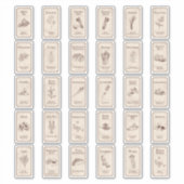 Étiquettes d'épices apothécaires Vintages étendus (Devant)