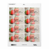 Étiquettes d'expédition de fraises (Feuille entière)