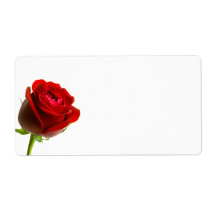 Étiquettes d'expédition de rose rouge